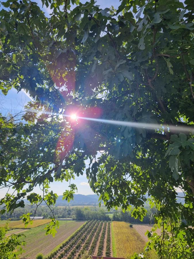 Gasthof Ca' San Michele Asti